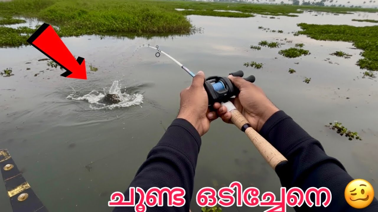 ചൂണ്ട ഒടിക്കാൻ നോക്കുന്നോടാ..#kerala #fishingvideo