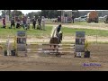 106s ingrid george on rf azalea open novice show jumping ram tap march 2024