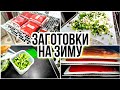 ЗАГОТОВКИ НА ЗИМУ 💥ВЕРНУЛАСЬ С ДАЧИ▶️ ПРИВЕЗЛИ УРОЖАЙ