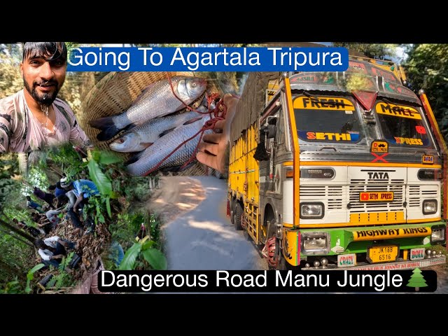 Agartala Tripura Dangerous Manu Jungle🌲|| Trucking vlog || SeThi Xpress class=
