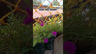 Kisah para sahabat #love #kisahislami #motivation #flowers #nature