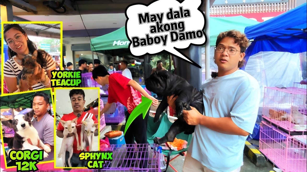 WILD BOAR NGA BA ANG DALA NI KUYA MAK SA GROTTO PET MARKET BULACAN! 11/09/2025!