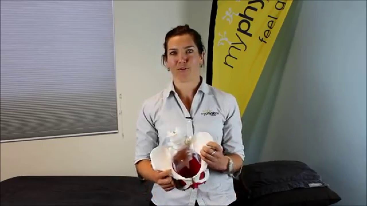 How to start a pelvic floor exercise program my Physio SA Adelaide Physiotherapist