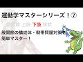 ⑦股関節 股関節の構成体・靭帯問題対策を簡単マスター！