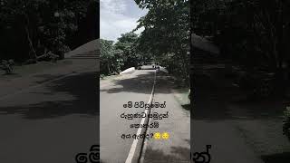 රුහුණ #uor #farewell #campuslife #motivation #matara#downsouth