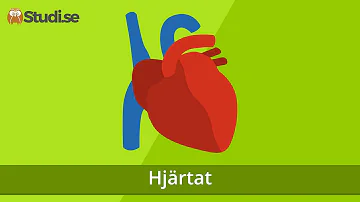 Vad betyder ? hjärta?