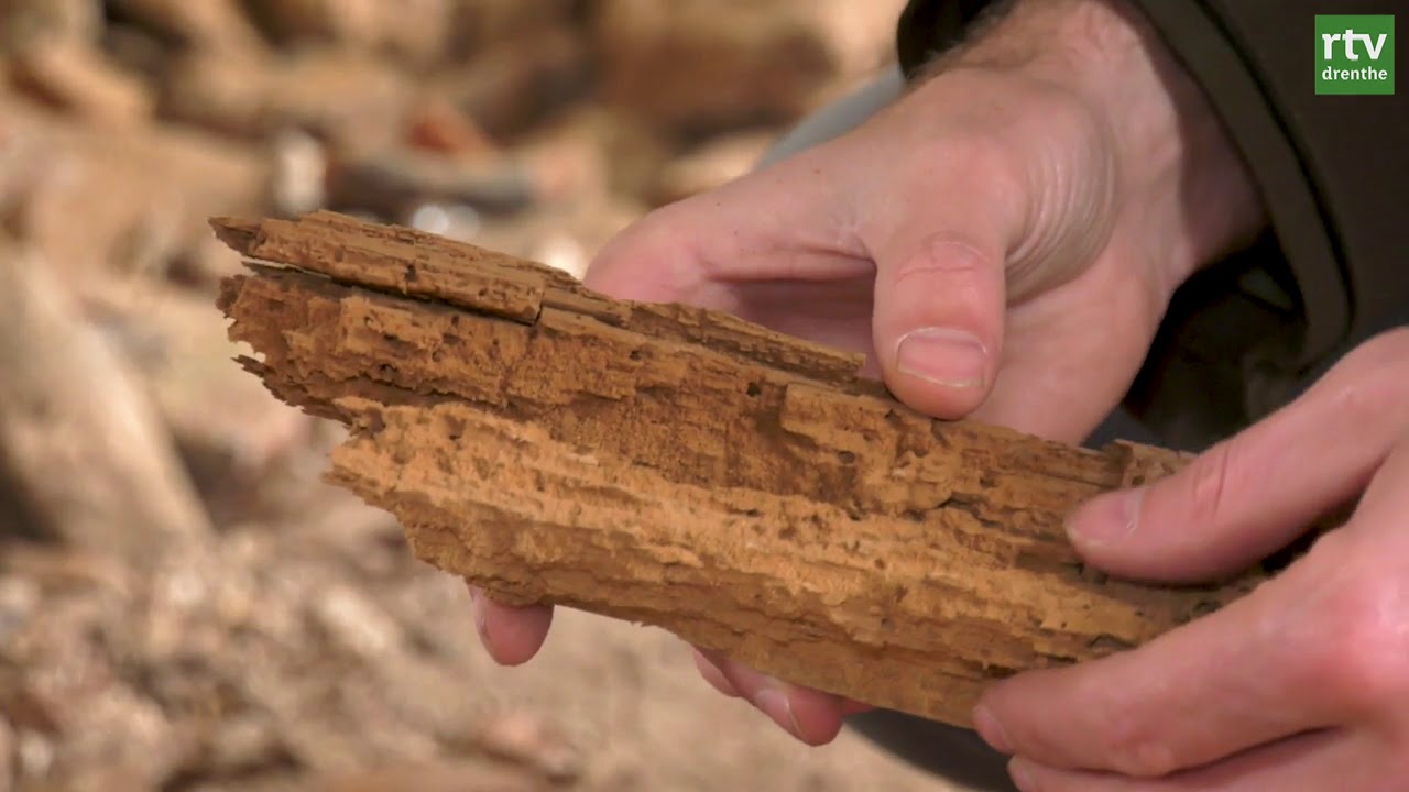 Een kijkje achter het behang in havezate Oldengaerde | Erfgoed