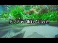 睡眠用タプチャプ気持ちいい川音