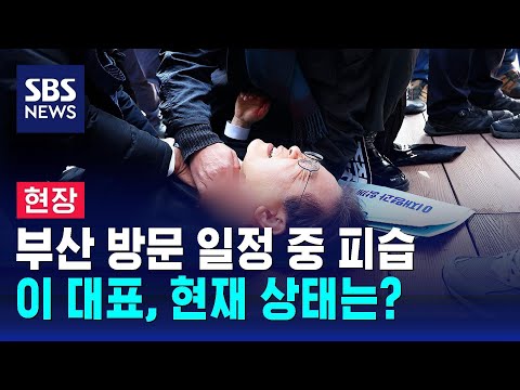 [현장] 이재명, 부산 방문 일정 중 피습…서울대병원 이송 / SBS