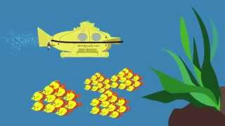 The Life Aquatic with Steve Zissou Title Sequence