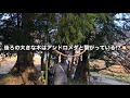 『宿り木』川江美奈子さん〜仲間たちと行った江ノ島ツアー動画♫