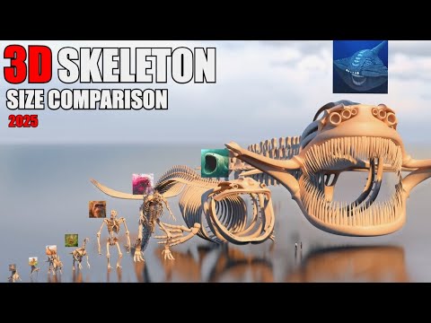 The Ultimate 3D Size Comparison of Animal, Dinosaur, Sea Monster Skeletons: Bloop vs El Gran Maja