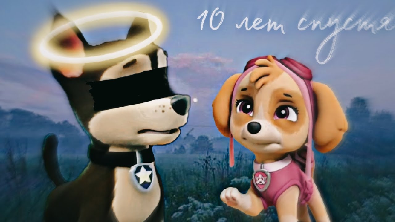 Гончик и Скай-10 лет спустя