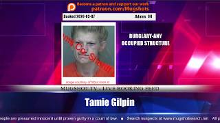 Mugshot TV Live Arrest Booking Video Stream