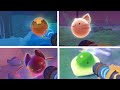 All GUARANTEED Radiant Slime Locations In Slime Rancher 