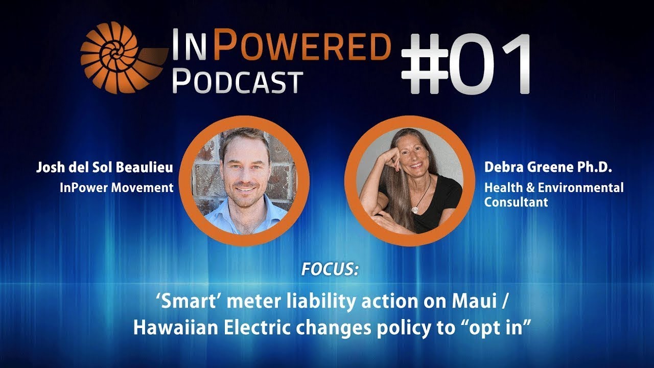 Josh Del Sol-"Smart" Meters documentary filmmaker talks about InPower Movement.com & autoimmune info