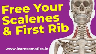 Free Your Scalenes for a PAIN FREE Neck!