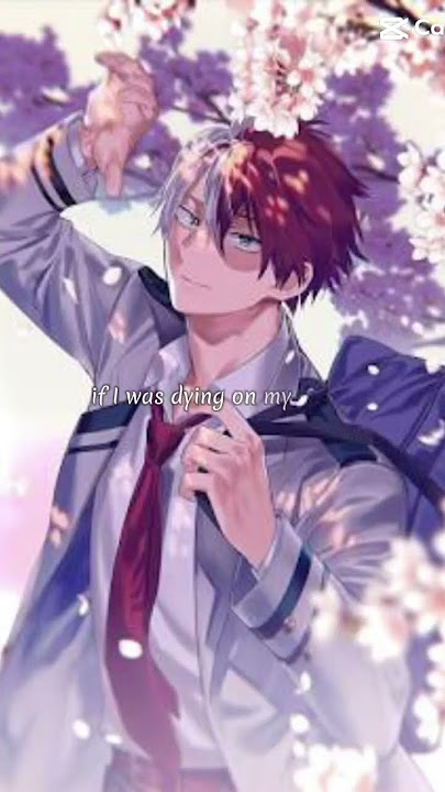 #mha #todoroki #mhacommunity #mhaedit