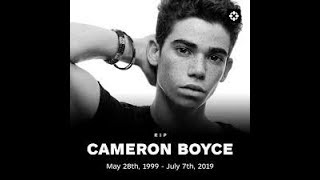 Actor Cameron Boyce, Disney Star, Dies At 20 After A Seizure