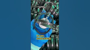 Cạm 9 đánh chuột đồng chuột thịt siêu hiệu quả