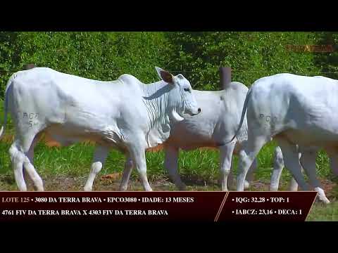 LOTE 125   EPCF 7554, EPCO 3038, 3080, 3223, 3520