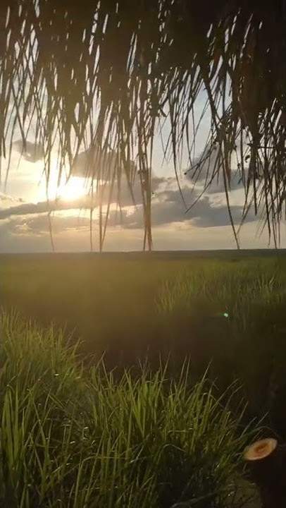 Keindahan alam lampung