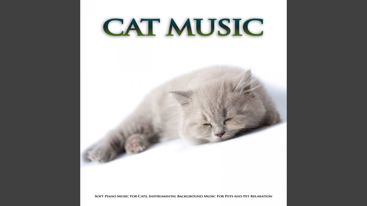 Background Cat Music