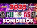Los Mejores Éxitos De La Musica Cumbia Sonidera Mix,.
