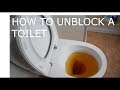 How To Unblock A Toilet