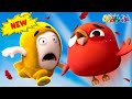 Oddbods | Nouveau | JEFF ET ANGRY BIRD | Dessins Animé