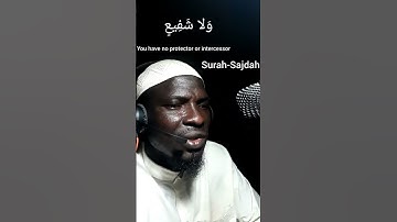 سورة السجدة / Sura Sajdah   #movie #islamicprayer  #quran #surahalimranwithurdutranslation