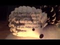Stille Nacht, heilige Nacht Text Karaoke