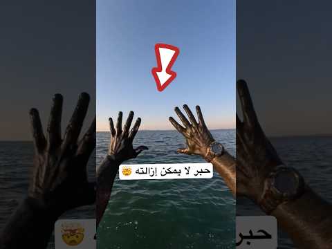 هذا ما يحدث عندما تلمس حبر الحبار