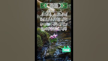 سورة الماعون بصوت عذب # متع سمعك