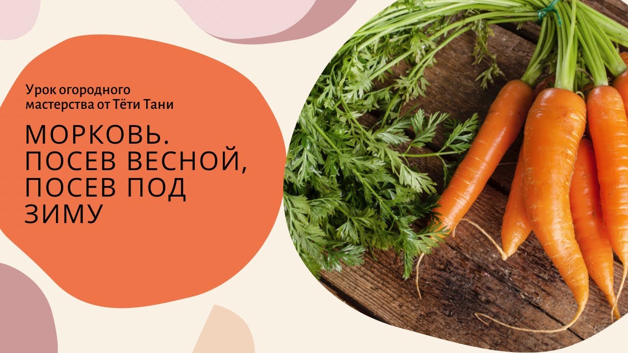 институт огородный девиц тетя таня капуста. институт огородных тетя таня дзен. институт огородных тетя таня дзен. лист для розы из изолона без молда. институт огородных тетя таня дзен.