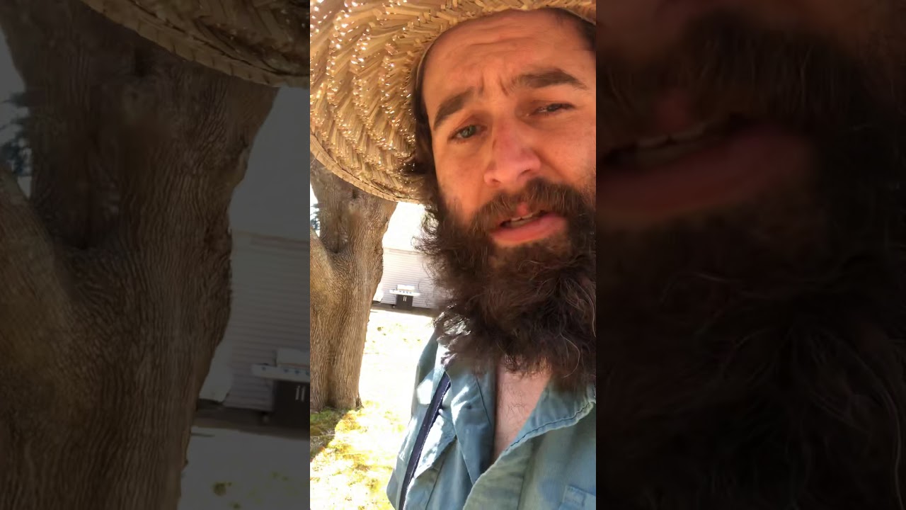 A Blessedly Sunny Day