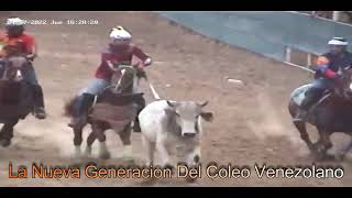 Toros Coleados En Valencia Con Jose El Perico Mendoza.