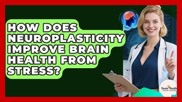 How Does Neuroplasticity Improve Brain Health From Stress? - Brain Health Support Network