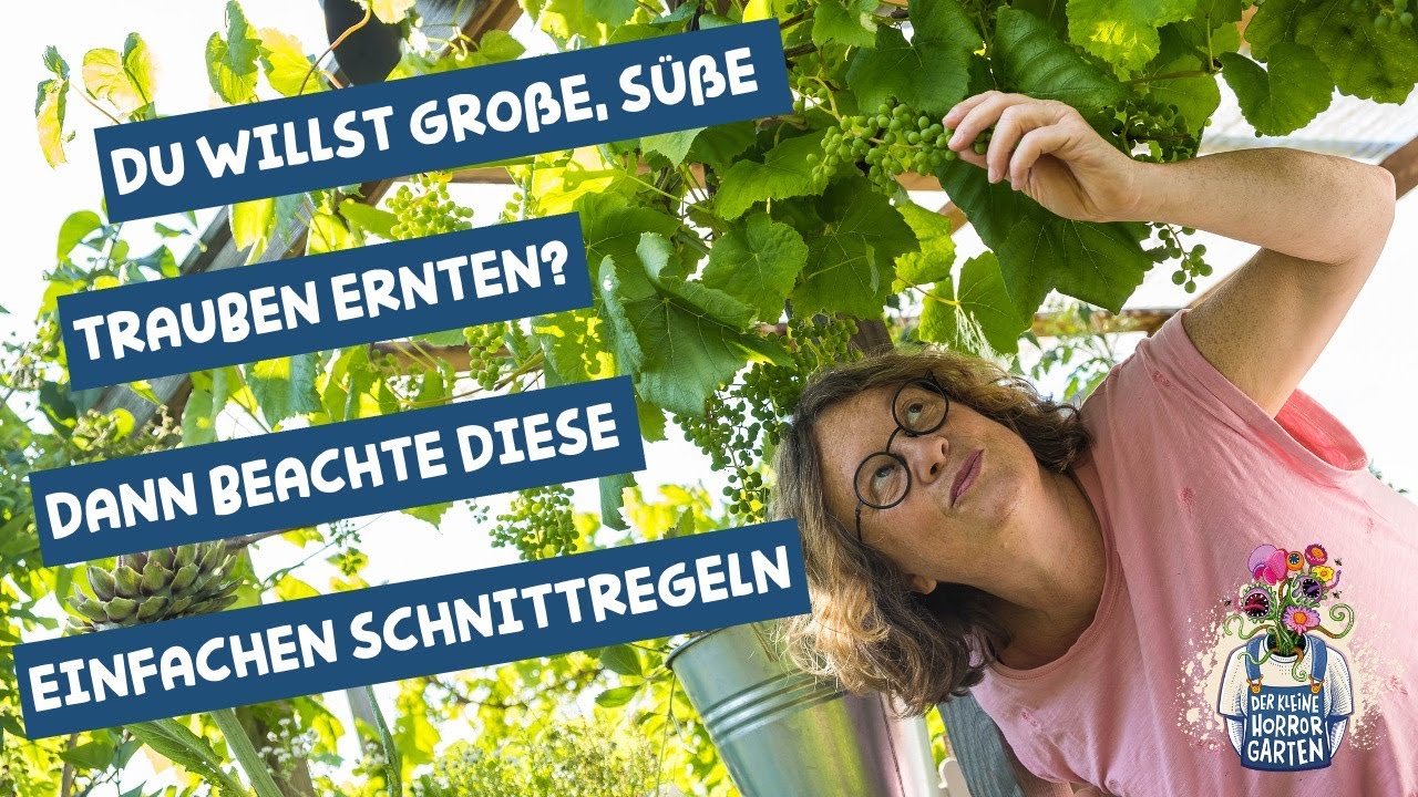 Aus der Traube in die Tonne - Die Choristen