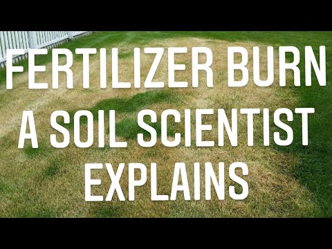 וִידֵאוֹ: Over Fertilization In The Garden - What To Do For Fertilizer Burn