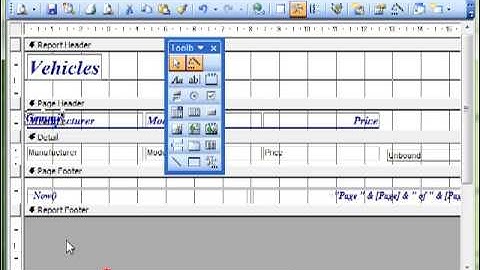 AM 5521 Data fields in reports Microsoft Access 2003