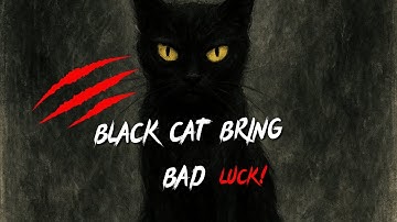 The Surprising Truth About Black Cats!