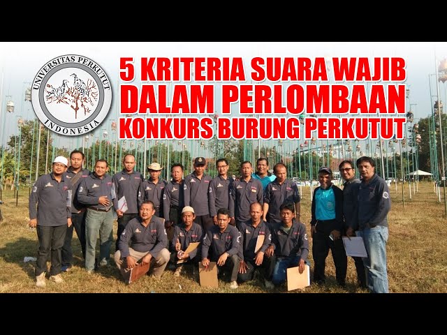 Memahami Kriteria Penilaian Suara Burung Perkutut (Konkurs) P3SI class=