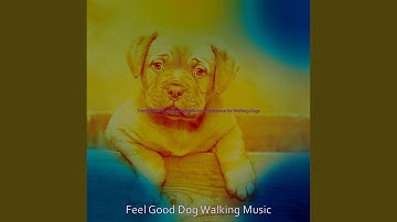 Successful Backdrops for Afternoon Dog Walks