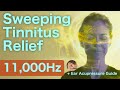 Tinnitus Relief: Sweeping Sound at 11,000Hz | Head Tinnitus, Acupressure, Ear Acupoints