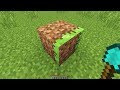 Minecraft but it confuses you