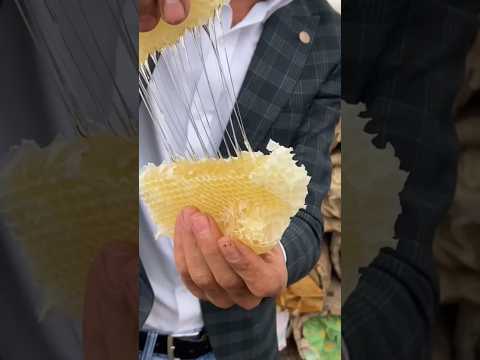 استخراج خلية النحل    عسل