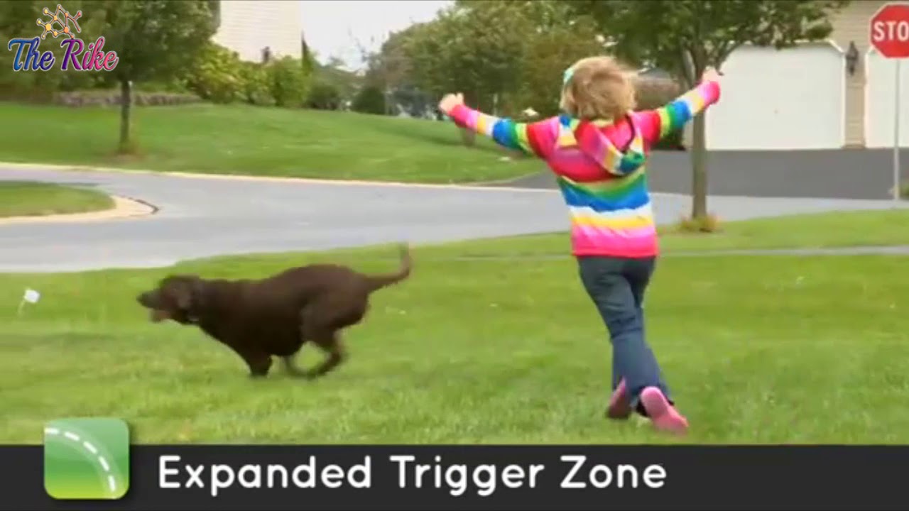 Invisible Fence 7K/10K Compatible Dog Collar Receiver by Perimeter