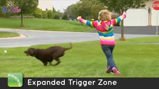 Invisible Fence 7K/10K Compatible Dog Collar Receiver by Perimeter Technology - The Rike