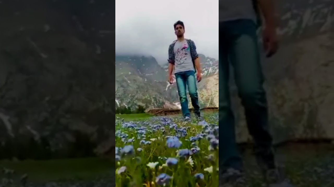 Wonderful Chukail Banda or meadow kalam 